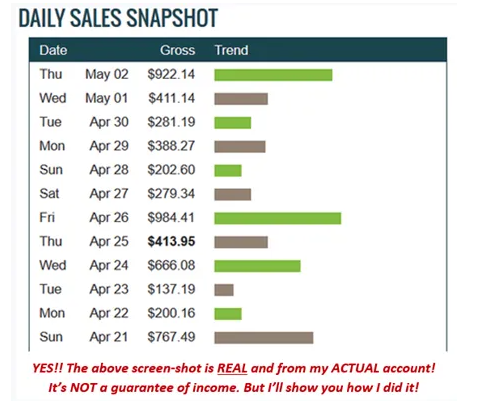 Millionaire Partner System Review